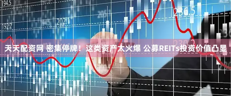 天天配资网 密集停牌！这类资产太火爆 公募REITs投资价值凸显