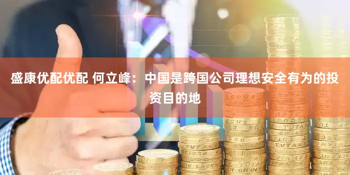 盛康优配优配 何立峰：中国是跨国公司理想安全有为的投资目的地