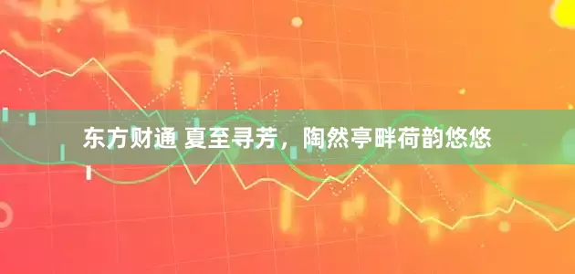 东方财通 夏至寻芳，陶然亭畔荷韵悠悠