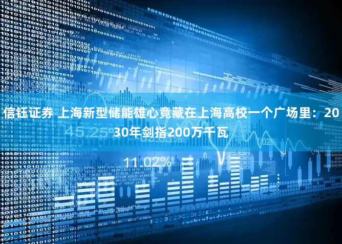 信钰证券 上海新型储能雄心竟藏在上海高校一个广场里：2030年剑指200万千瓦