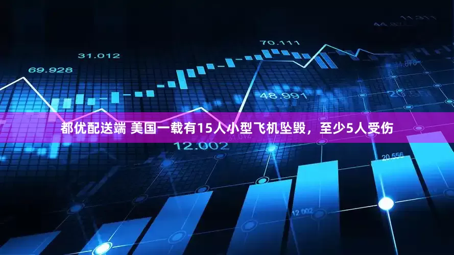 都优配送端 美国一载有15人小型飞机坠毁，至少5人受伤
