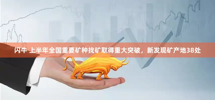 闪牛 上半年全国重要矿种找矿取得重大突破，新发现矿产地38处